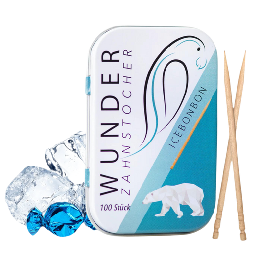 Wunder Zahnstocher Icebonbon 100 Stk.